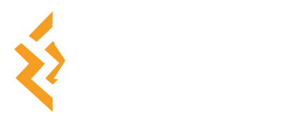 Excella B Group | Advancing Lithium Projects to Production